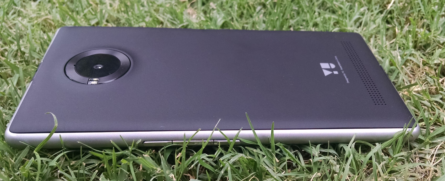 Yuphoria Back